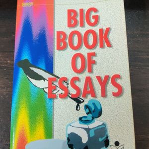 Big Book Of Essays