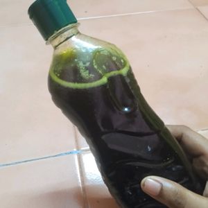 Homemade Curry Leaf Oil