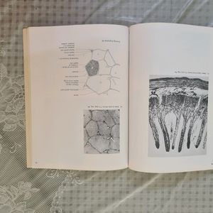 An Atlas of Histology- Freeman & Brian Bracegirdle