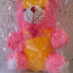 Pink Small Teddy