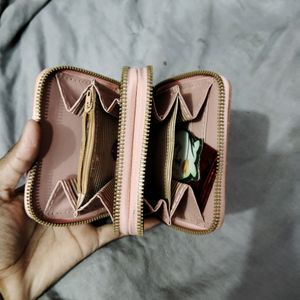 Mini Wallet Clutch 🍁