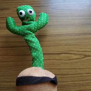 Cactus Shaped Plant For Kids To Play