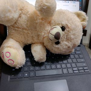 Teddy Stufftoy