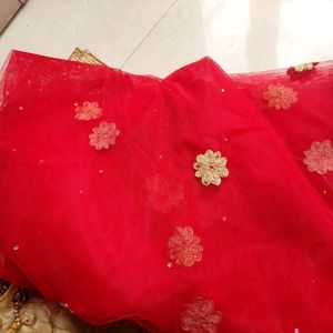 Embroidered Lehenga Choli