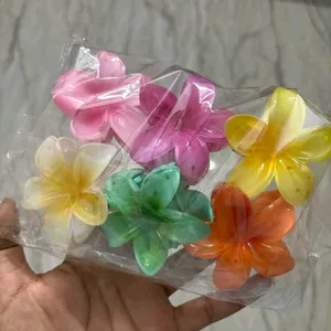 6 Pcs Flower Clutcher 🌸