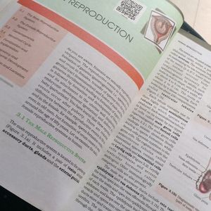 Ncert Class 12 Biology Textbook