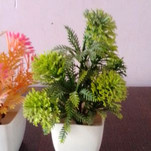 Artificial Plants