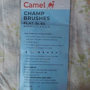 CAMEL FLAT BRUSHES - NEVER USED