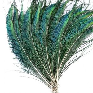 Beautiful Peacock Feather Bunch