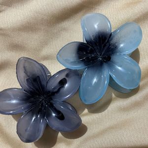 Beautiful Hair Clip