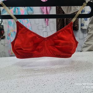 Red Bra Not Used Display Shop Piece