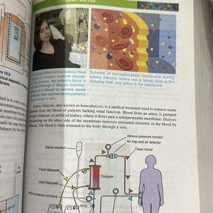 Essentials of Physical chemistry By Arun Bahl