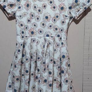 Cute daisy Skater Dress