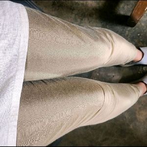 Shimmer Golden Pencil Pant (Size - S)