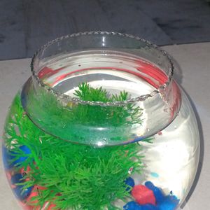 Combo 4 (Fish Bowl )