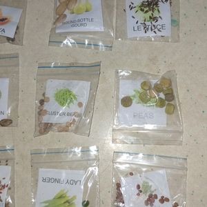 12 Variety Vegetable and Fruit Seeds🌱 Combo