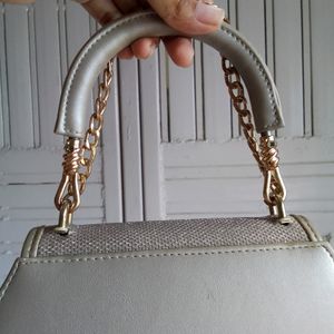 Exotic' Silver Handbag