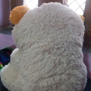 A Soft Teddy Bear For Kids