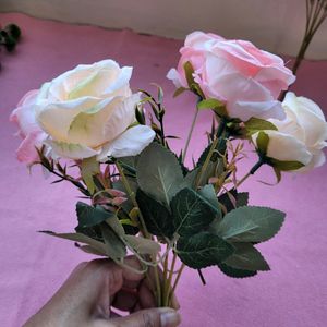 Light Pink Roses