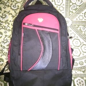 College / Laptop Bag