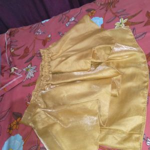 Mini Skirt With Shining Fabric