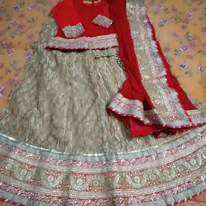 Bridal Lahnga Tissue And Gorgette Fabric