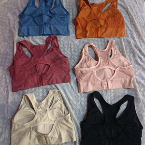 New Padded Sports Bra (Women's)