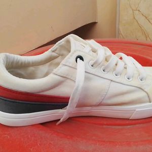 Us Polo Assn Shoes (UK 6)