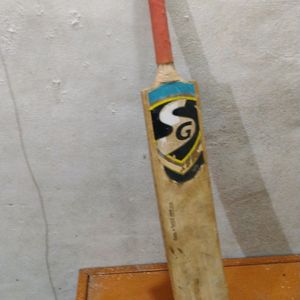 Best' Bat Of Playing Cricket And Fighting