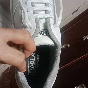 Brand New White Casual Sneakers