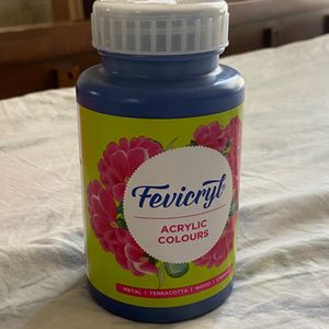 Fevicryl Acrylic Paint