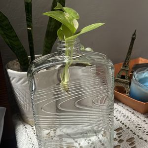 Glass Vase Bottle For Sale Transparent Brand New