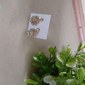 Beautiful Small Earrings