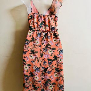 Korean Designer One Piece