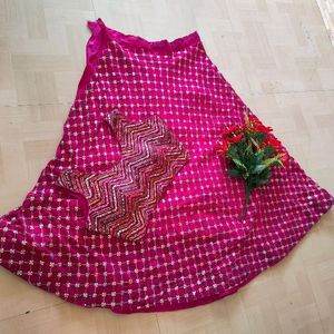 Vintage Lehnga Choli 🌈