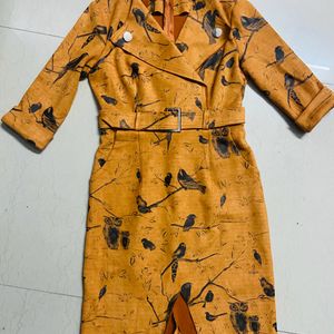 Warm Trench Dress