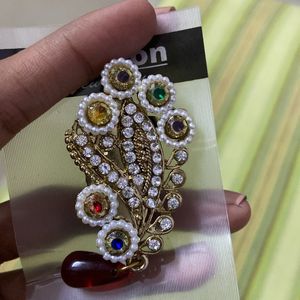 Beautiful Saree Pin