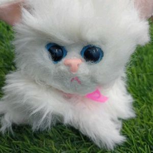 Cat Cuite Soft Toy