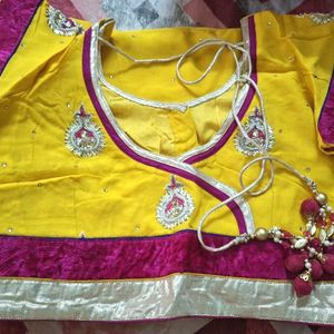 Zardozi Handwork Saree