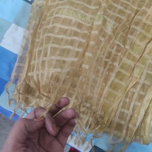 New Golden Net Dupatta