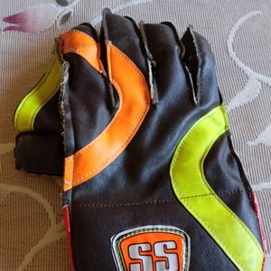 Wicket Keeping Gloves