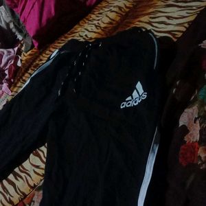 Adidas Track Pant