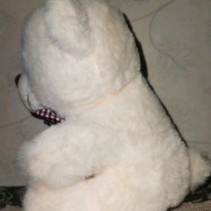 White Teddy Bear Plush