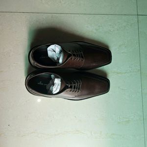 Allen Cooper Pure Leather Oxford/ Formal Shoes