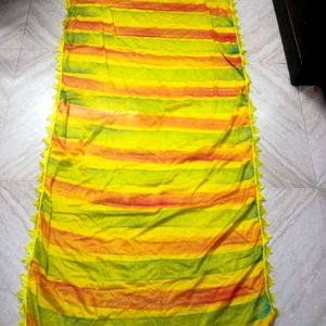 Multi Colour Dupatta