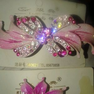 2 Beautiful Hair Clip