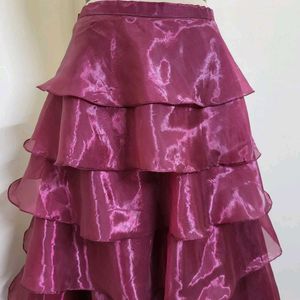 Organza Skirt