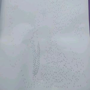 1000 Dot-to-Dot Animals Drawing Book