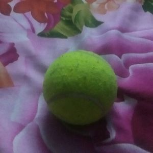 Cricket Ball