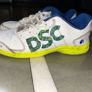 DSC Cricket Shoes Original